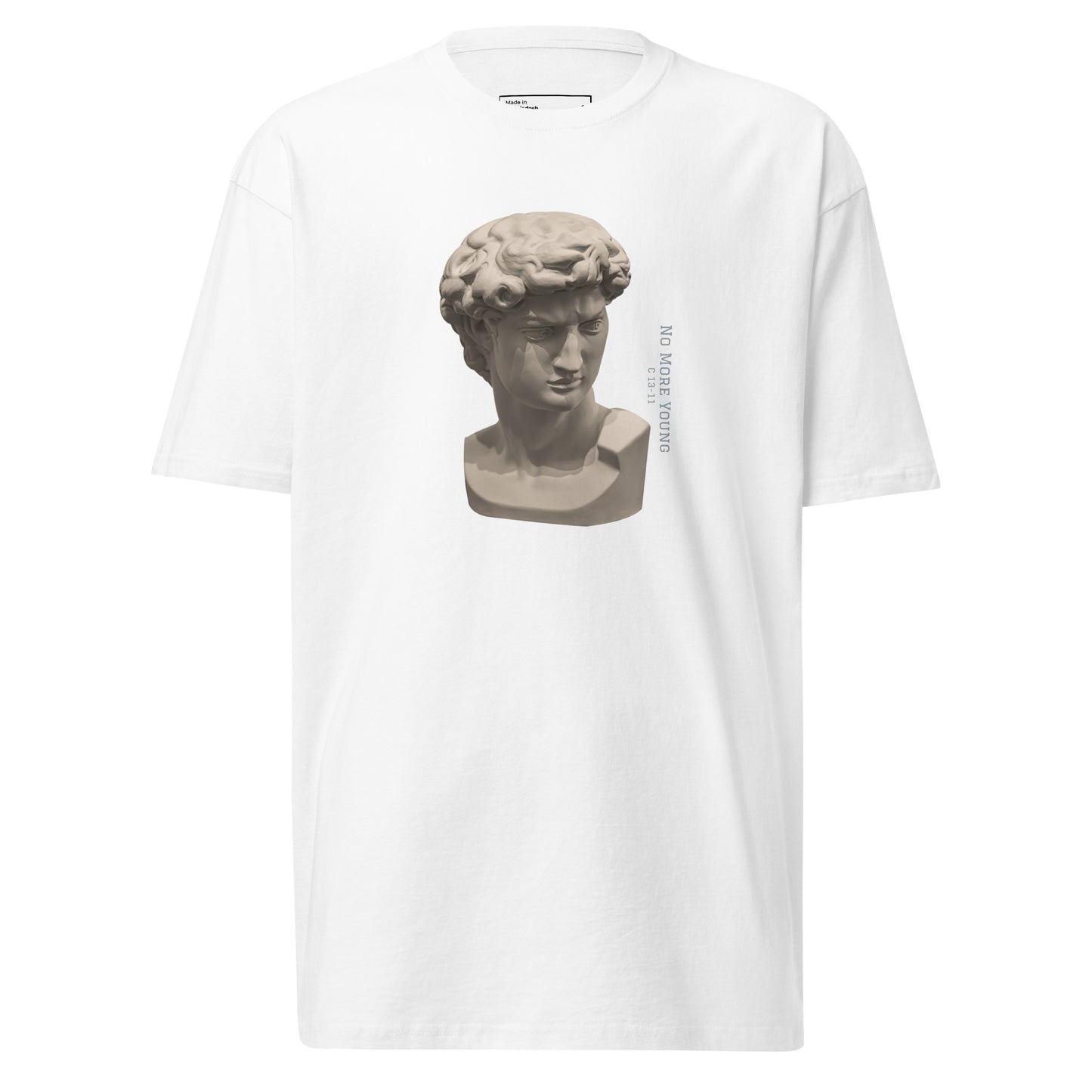 Men’s premium heavyweight tee